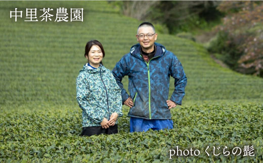 そのぎ茶 贅沢飲み比べセット (萌90g/啓90g/ティーバッグ3g×12個) 茶 ちゃ お茶 おちゃ 緑茶 りょくちゃ 日本茶 茶葉 東彼杵町/中里茶農園 [BCH001] 