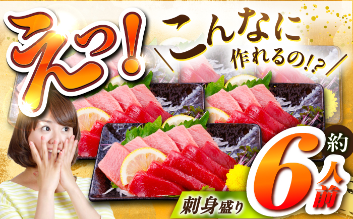 長崎県産 本マグロ「中トロ」(約500g) 中とろ マグロ まぐろ 鮪 マグロ刺身 ブロック トロ 刺身 さしみ 刺し身 冷凍 東彼杵町/大村湾漁業協同組合 [BAK036]