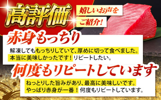 【全6回定期便(月1回)】長崎県産 本マグロ 赤身 500g まぐろ 鮪 さしみ 刺身 刺し身 冷凍 東彼杵町/大村湾漁業協同組合 [BAK023]