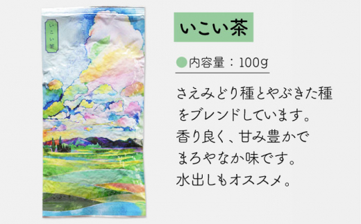 そのぎ茶 3種セット 飲み比べ ＆ フィルターインボトル (750ml) 茶 ちゃ お茶 おちゃ 緑茶 りょくちゃ 日本茶 茶葉 詰め合わせ 東彼杵町/お茶のこばやし [BAB002]  