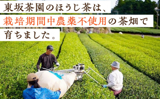 【栽培期間中農薬不使用】 冬ほうじ茶　50g×3袋 茶 お茶 茶葉 日本茶 ほうじ茶 東彼杵町/東坂茶園 [BAN005]