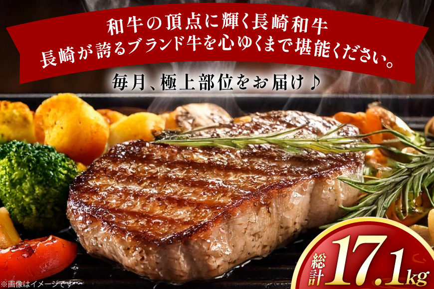 牛肉 和牛 牛一頭プレミアム定期便「長崎和牛をまるごと堪能」 12回 総計17.1kg [黒牛 長崎県 東彼杵町 hs42bag750073] しゃぶしゃぶ すき焼き スライス 肉 お肉 牛肉