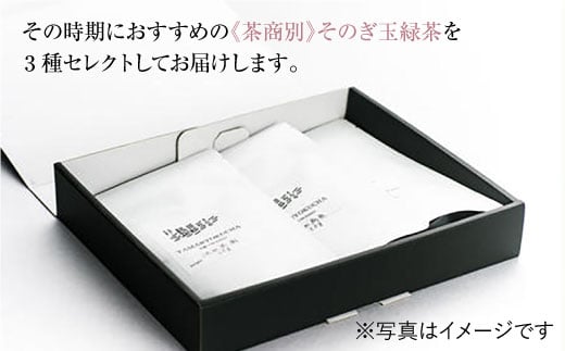 そのぎ茶 玉緑茶 3点セット〜茶商編〜 茶 お茶 緑茶 茶葉 東彼杵町/くじらの髭 [BBQ045]