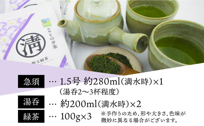 緑茶と茶器セット (急須×1・湯呑×2・緑茶100g×3) 茶 お茶 緑茶 日本茶 茶葉 東彼杵町/常明窯 [BCX001]