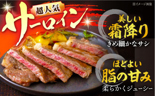 【3回定期便】ステーキ食べ比べ定期便（ヒレ・ランプ・サーロイン）/ ヒレステーキ ヒレ ひれ フィレ ステーキ すてーき 赤身 ヒレ肉 ヒレ肉ステーキ ランプ サーロイン さーろいん 人気 希少部位 牛肉 長崎和牛 定期便 /東彼杵町/株式会社黒牛 [BBU100] 2枚