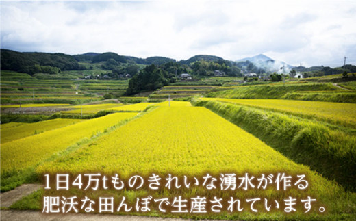 【令和6年度産】木場湧水米＜なつほのか＞（10kg×1袋） / 東彼杵町 / 木場みのりの会 / お米 米 白米 ふっくら ツヤツヤ 甘い 国産 10㎏ [BAV009]