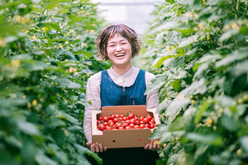 ミニトマトジュース MINITOMATO 100% JUICE 180ml 10本 1箱 [そのぎ茶深緑の里 tomattea 長崎県 東彼杵町 hs42bag570003] トマトジュース トマト ミニトマト エコスイート ドレッシング スムージー