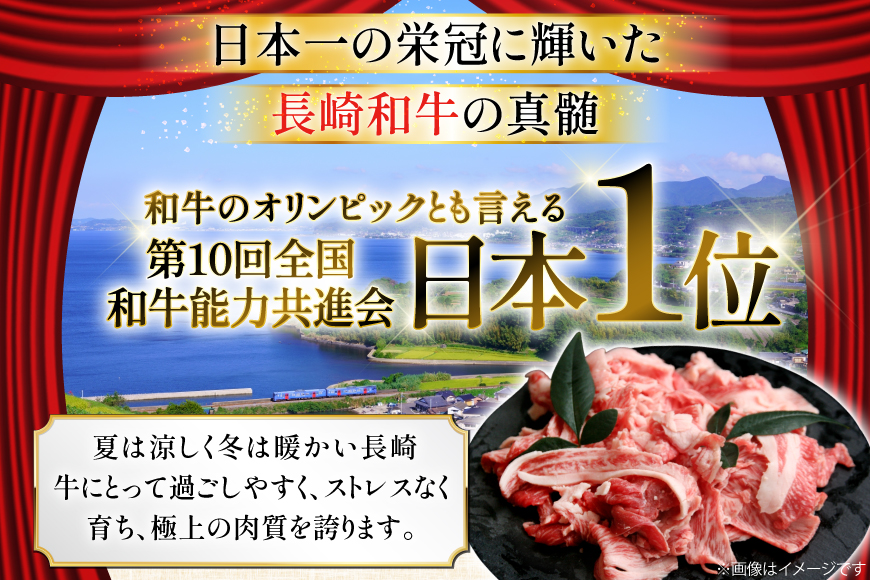 牛肉 切り落とし 定期便 長崎和牛 切り落し600g 2回 総計1200g [大川ストアー 長崎県 東彼杵町 hs42bag580011] 肉 牛肉 和牛 焼肉