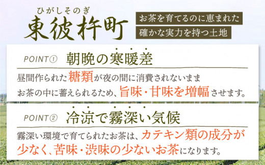 【令和4年度 全国茶品評農林水産大臣賞受賞】大河の掬（そのぎ茶特上茶）3本入り 茶 ちゃ お茶 おちゃ 緑茶 りょくちゃ 日本茶 そのぎ茶 茶葉 東彼杵町 / おのうえ茶園 [BBD002] 