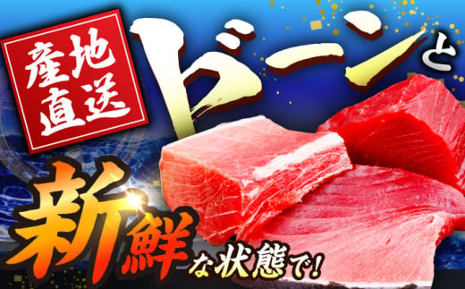 長崎県産 本マグロ「大トロ・中トロ・赤身」詰め合わせ (総量1kg) まぐろ 鮪 マグロ刺身 柵 マグロ 赤身 中とろ 刺身 刺し身 冷凍 セット 東彼杵町/大村湾漁業協同組合 [BAK014]