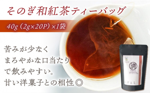 【簡単手軽に楽しめる】そのぎ茶ティーバッグ詰合せ 茶 日本茶 緑茶 ティーバッグ ティーパック 東彼杵町/有限会社まるせい酒井製茶 [BBV033]