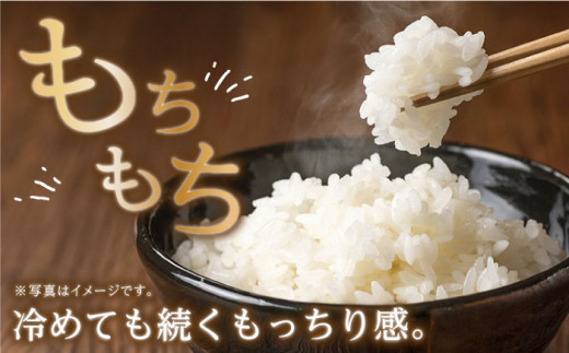 【令和6年度産】【全6回定期便(月1回)】木場湧水米＜ひのひかり＞計60kg(10kg×6回) / 東彼杵町 / 木場みのりの会 / お米 米 白米 ふっくら ツヤツヤ 甘い 国産 [BAV006]