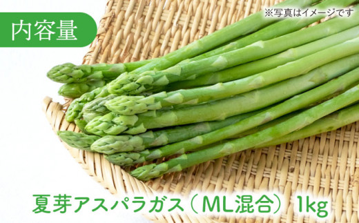 【農家直送】夏芽アスパラガス 1kg（M・L混合） アスパラガス アスパラ 野菜 やさい 新鮮 夏野菜 あすぱらがす あすぱら / 東彼杵町 / 前平農園 [BCG001]