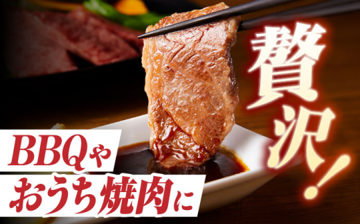 【2回定期便】 長崎和牛 切り落とし（焼肉用）600g  赤身 霜降り 部位ミックス BBQ やきにく うまい ジューシー 東彼杵町/有限会社大川ストアー [BAJ108]