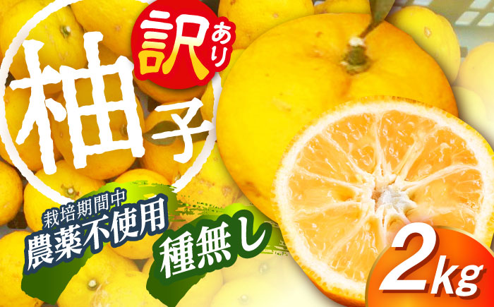 【訳あり※キズあり】種なし柚子2kg 柚子 ゆず 柑橘 東彼杵町/たぬき池自然農園 [BCZ002]