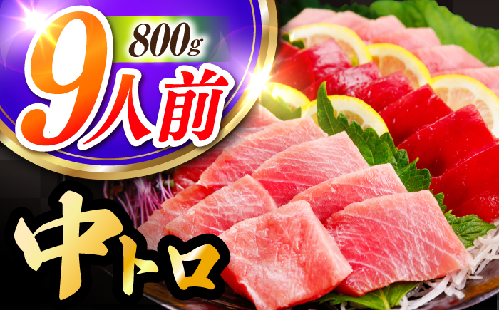 長崎県産 本マグロ「中トロ」(約800g) 中とろ マグロ まぐろ 鮪 マグロ刺身 ブロック トロ 刺身 さしみ 刺し身 冷凍 東彼杵町/大村湾漁業協同組合 [BAK037]