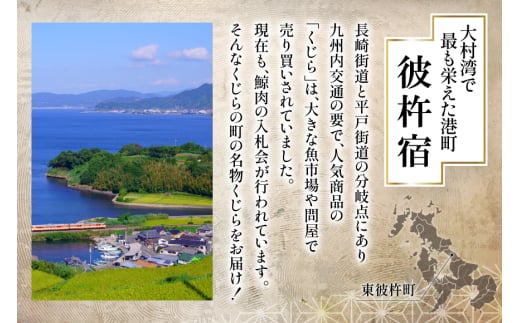 【鯨の町からお届け】 くじら 5品 詰め合わせ セット [彼杵の荘 長崎県 東彼杵町 hs42bag270006] 長崎 鯨刺身 刺し身 赤身 くじら肉 クジラ 冷凍