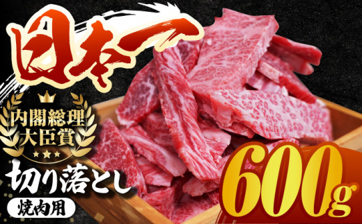 長崎和牛 切り落とし（焼肉用）600g 赤身 霜降り 部位ミックス BBQ やきにく うまい ジューシー 東彼杵町/有限会社大川ストアー [BAJ107]