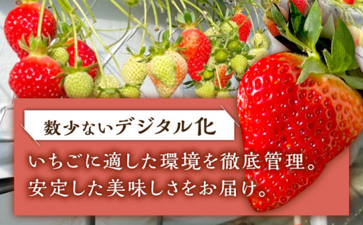 【2025年1月下旬より順次発送】朝摘み鮮度バツグン ゆめのか いちご 約１kgお届け♪ いちご イチゴ 苺 いちご 先行予約 長崎 東彼杵町/ファーミライズ株式会社 [BBL002]