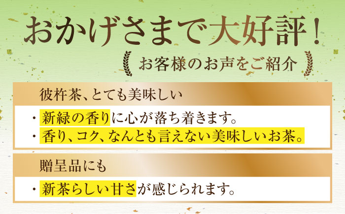 【第73回全国茶品評会 蒸し製玉緑茶 農林水産大臣賞受賞】そのぎ茶（特上）華の香　100g×1袋 茶 茶葉 お茶 緑茶 日本茶 東彼杵町/中山製茶園 [BBZ004]