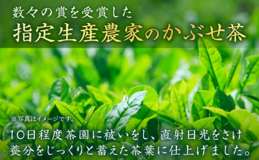 【全6回定期便】[指定生産農家のかぶせ茶] 長崎そのぎ茶「玄冬」計18袋 (約90g×3袋/回) 茶 お茶 日本茶 茶葉 東彼杵町/池田茶園 [BAL017]