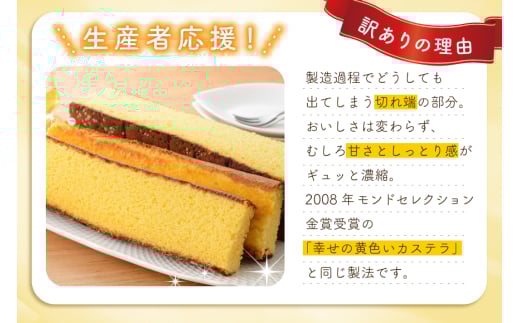 カステラ 訳あり 切り落とし 個包装 定期便 幸せのカステラ個包装 38g 2種 プレーン 抹茶 各5個 カステラ 切り落とし 1パック 250g 計630g 3回 総計1.89 kg [長崎カステラセンター心泉堂 長崎県 東彼杵町 hs42bag180049] 和菓子 かすてら 長崎 お菓子 おやつ