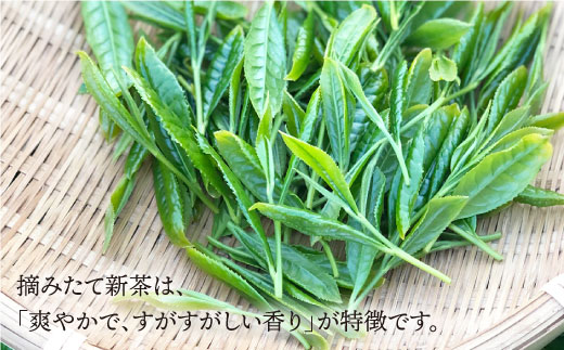 そのぎ茶 贅沢飲み比べセット (萌90g/啓90g/ティーバッグ3g×12個) 茶 ちゃ お茶 おちゃ 緑茶 りょくちゃ 日本茶 茶葉 東彼杵町/中里茶農園 [BCH001] 