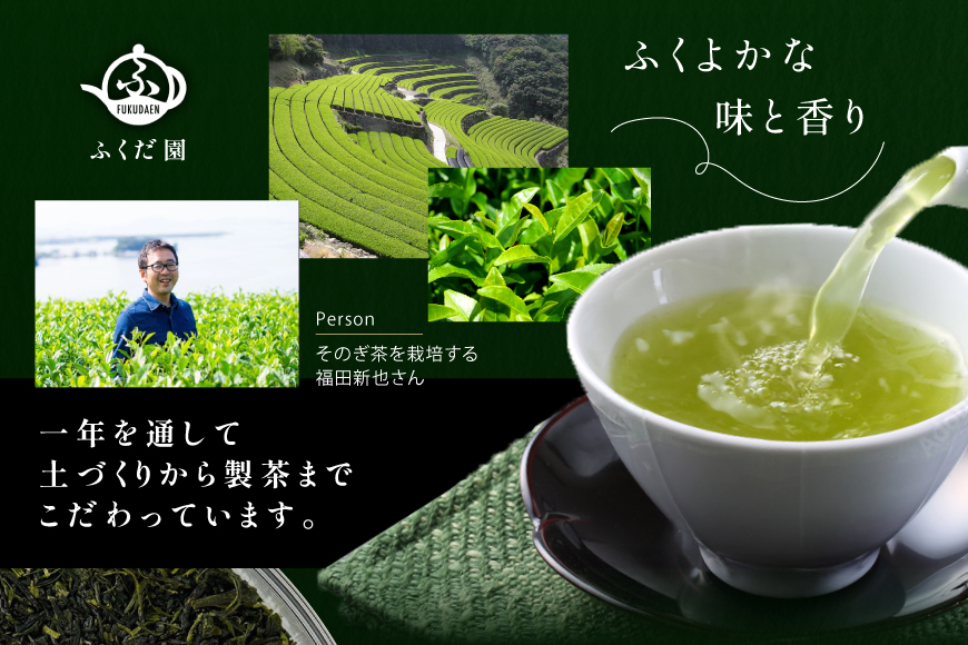 お茶 そのぎ茶 【TVで紹介！】そのぎ茶 (特上) 100g 3袋入 [ふくだ園 長崎県 東彼杵町 hs42bag770000] 茶 ちゃ お茶 おちゃ 緑茶 りょくちゃ 日本茶 茶葉