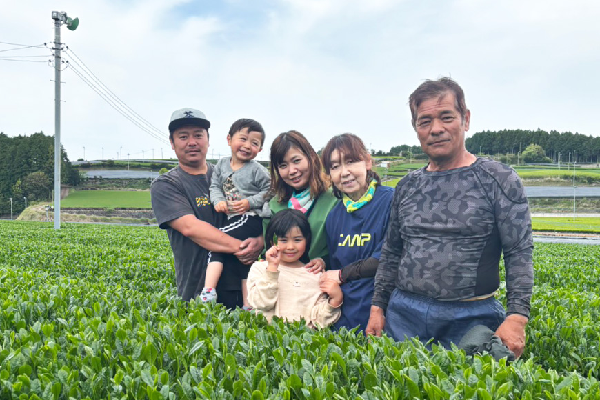 お茶 緑茶 そのぎ茶 「特上玉緑茶」 90g×5袋入り 総計450g [山口製茶 長崎県 東彼杵町 hs42bag310004] 茶 ちゃ お茶 おちゃ 緑茶 りょくちゃ 日本茶 茶葉