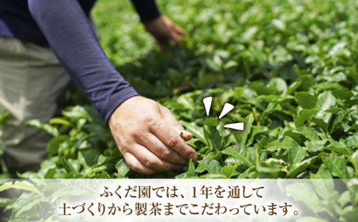 【TVで紹介！】そのぎ茶 (特上) 100g×3袋入り 茶 ちゃ お茶 おちゃ 緑茶 りょくちゃ 日本茶 茶葉 東彼杵町/ふくだ園 [BBC001] 