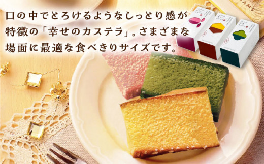 幸せのカステラ 詰め合わせセット 【長崎心泉堂】 / スイーツ ケーキ おやつ 焼き菓子 和菓子 贈答 ギフト [BAC034]