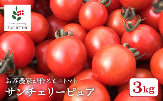 【食卓をもっと楽しく！】ミニトマト（サンチェリーピュア） 3kg【tomattea】 [BAR002]