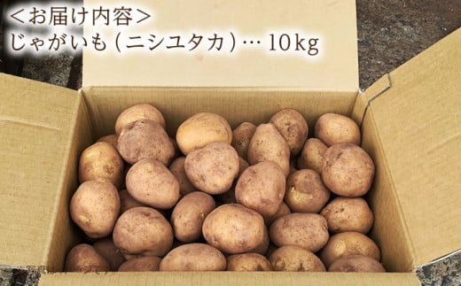 【限定100セット】 栽培期間中農薬不使用！野田さん家のじゃがいも（ニシユタカ)10kg  じゃがいも ジャガイモ じゃがいも 10kg 東彼杵町/野田物産[BBS001]