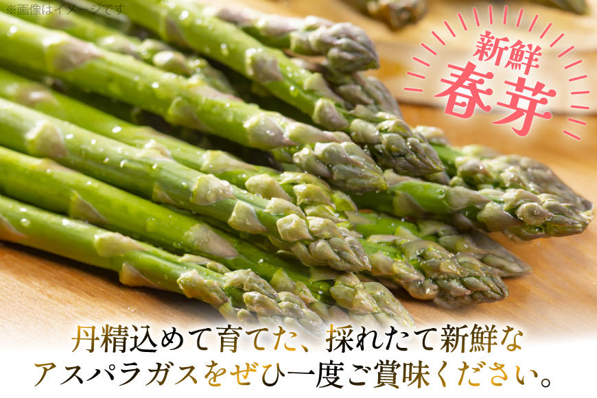 アスパラ アスパラガス 春芽アスパラガス 4kg M L サイズ混合 [はゆっちFARM 長崎県 東彼杵町 hs42bag360018] アスパラ あすぱら 新鮮 春