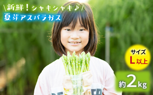 【生で食べれるほどの新鮮さ】夏芽アスパラガス2kg (Lサイズ以上) アスパラガス アスパラ 野菜 新鮮 夏野菜 東彼杵町/はゆっちFarm [BBW020]