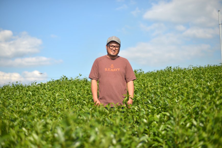 緑茶 長崎 そのぎ茶 3種セット 特上 夕凪 ・極上 風凪 ・特撰 朝凪 各1袋/90g 飲み比べ 詰め合わせ [中山茶園 長崎県 東彼杵町 hs42bag610003] 茶 お茶