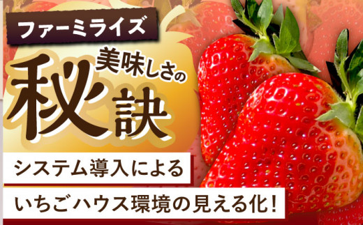 【2025年1月下旬より順次発送】朝摘み鮮度バツグン ゆめのか いちご 約１kgお届け♪ いちご イチゴ 苺 いちご 先行予約 長崎 東彼杵町/ファーミライズ株式会社 [BBL002]