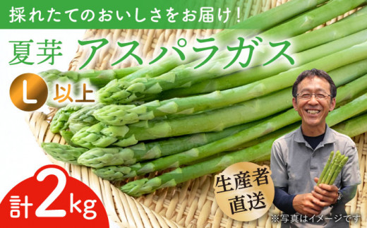 【農家直送】夏芽アスパラガス 2kg（L以上）アスパラガス アスパラ 野菜 新鮮 夏野菜 東彼杵町/ 前平農園  [BCG006]