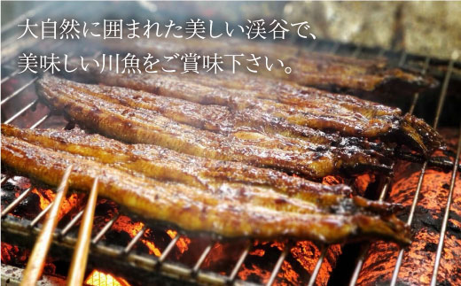 【川魚料理】龍頭泉荘  お食事券 3,000円分 [BCM001]