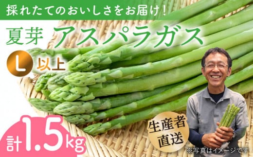 【農家直送】夏芽アスパラガス 1.5kg（L以上）アスパラガス アスパラ 野菜 新鮮 夏野菜 東彼杵町 / 前平農園 [BCG004]