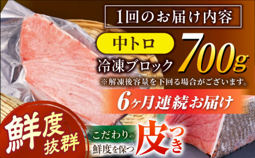 【全6回定期便(月1回)】長崎県産 本マグロ 中トロ皮付き 約700g 【大村湾漁業協同組合】 [BAK026]/中トロ 中とろ まぐろ 刺身