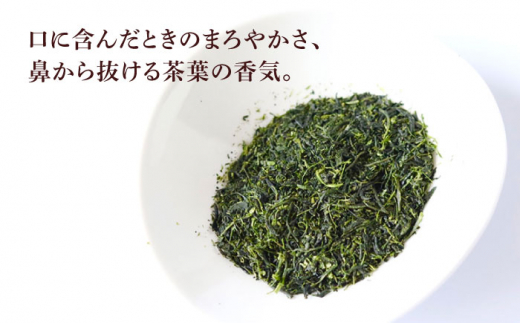 そのぎ茶 (極上) 100g×3袋入り 茶 ちゃ お茶 おちゃ 緑茶 りょくちゃ 日本茶 茶葉 東彼杵町/酒井製茶 [BBV029] 