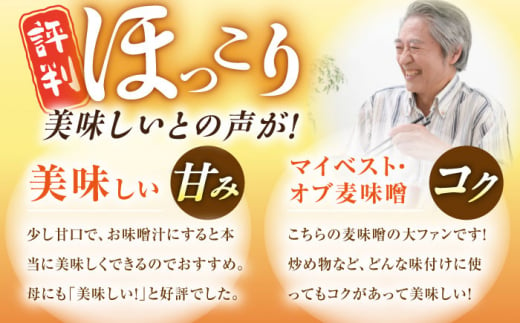 【原材料国産】麦みそ 3kg（1kg×3袋）手作り 減塩 みそ 味噌 麦みそ 九州 こうじ 麦麹 調味料 味噌汁 みそ汁 東彼杵町/有限会社大渡商店 [BAA012]