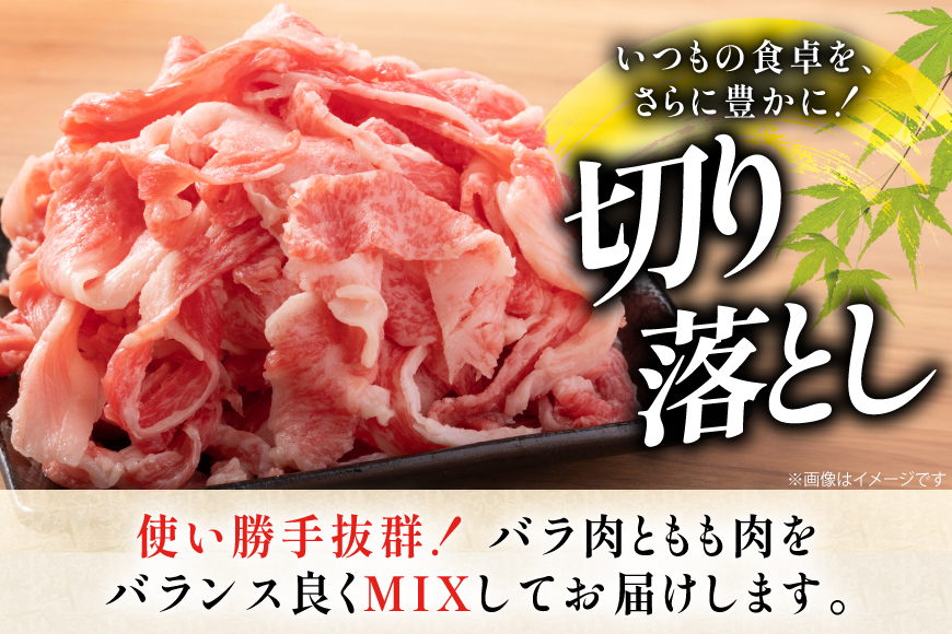 牛肉 和牛 定期便 長崎和牛 切り落とし 700g 6回 総計4.2kg [黒牛 長崎県 東彼杵町 hs42bag750080] 牛肉 バラ モモ もも 切り落とし牛肉 バラ モモ もも 切り落とし