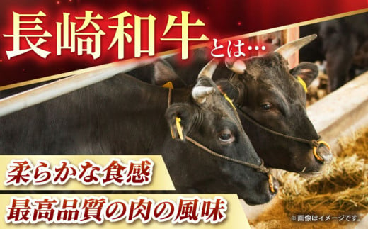 長崎和牛 100％ ハンバーグ (200g×6個) ハンバーグ はんばーぐ 冷凍 人気  牛肉100% 国産 ハンバーグ はんばーぐ 東彼杵町/黒牛 [BBU011]