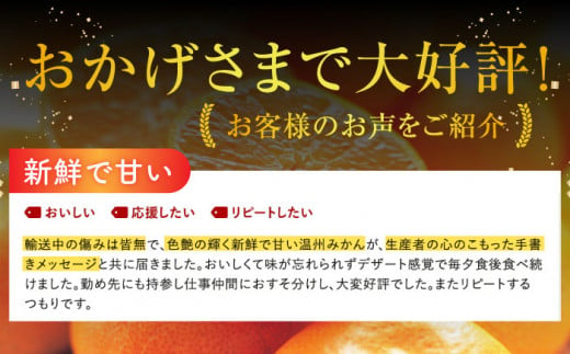 【2024年11月下旬より順次発送】山田さん家の濃厚！温州みかん 10kg /フルーツ みかん ミカン 柑橘 期間限定 東彼杵町 [BBM001]