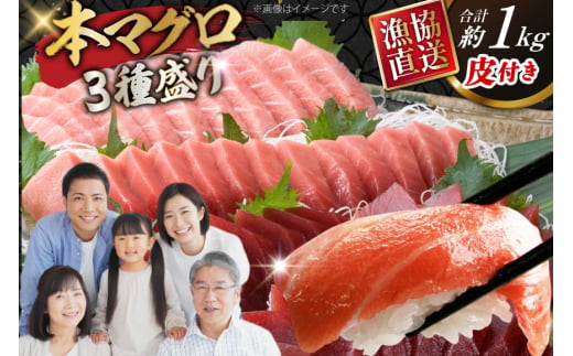 マグロ 本マグロ 大トロ 中トロ 赤身 詰め合わせ 総計1kg [大村湾漁業 長崎県 東彼杵町 hs42bag670025] まぐろ マグロ 鮪 魚 大トロ 中トロ 赤身 3種盛り さしみ 刺身 寿司 すし まぐろ丼 高級 冷凍