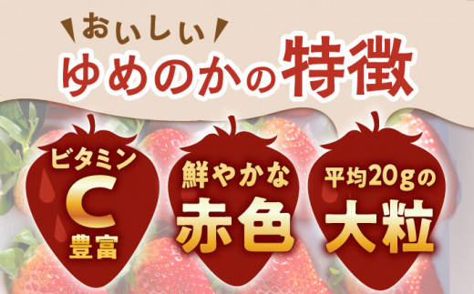 【2025年1月下旬より順次発送】朝摘み鮮度バツグン ゆめのか いちご 約１kgお届け♪ いちご イチゴ 苺 いちご 先行予約 長崎 東彼杵町/ファーミライズ株式会社 [BBL002]