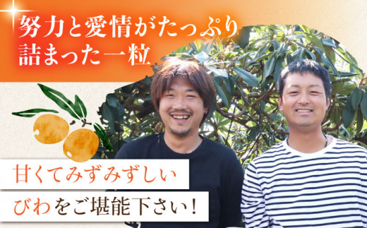 【2025年3月中旬より順次発送】東彼杵町産 長崎 ハウス びわ  1kg 化粧箱入 [BDC002]