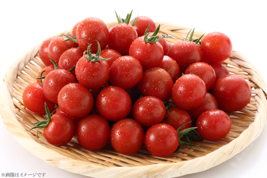 ミニトマトジュース MINITOMATO 100% JUICE 180ml 10本 1箱 [そのぎ茶深緑の里 tomattea 長崎県 東彼杵町 hs42bag570003] トマトジュース トマト ミニトマト エコスイート ドレッシング スムージー